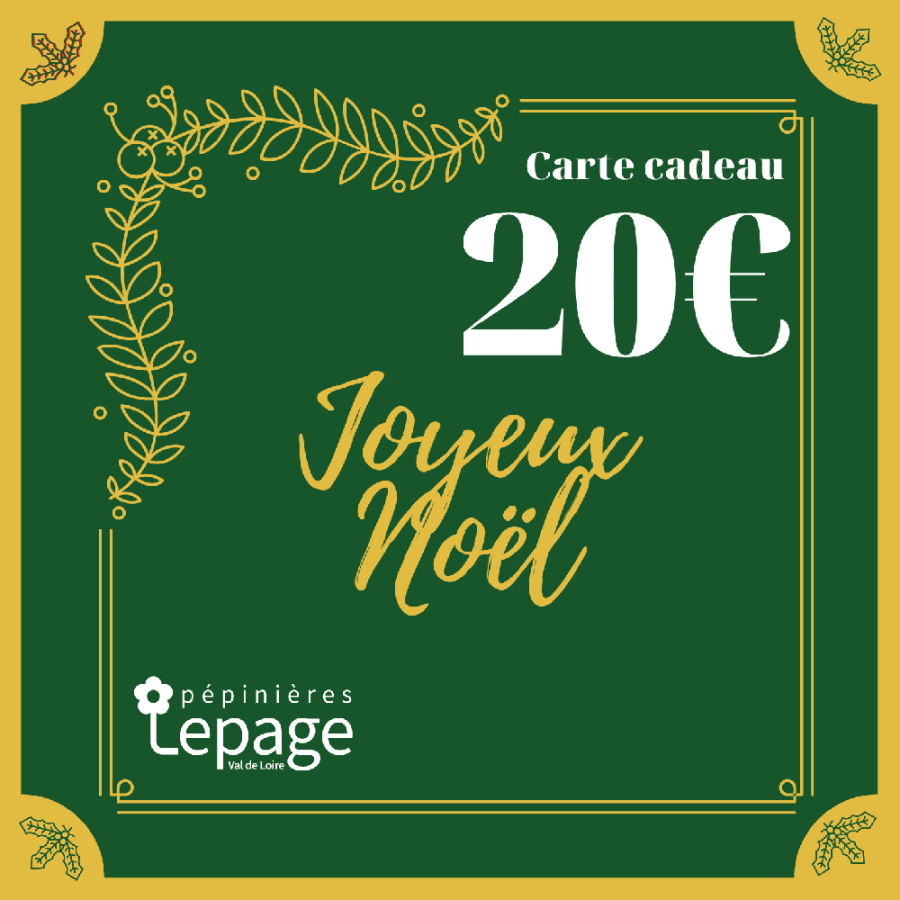 Plantes Vivaces Carte Cadeau 20 Euros - Bon d'achat  en vente - Pépinière Lepage .