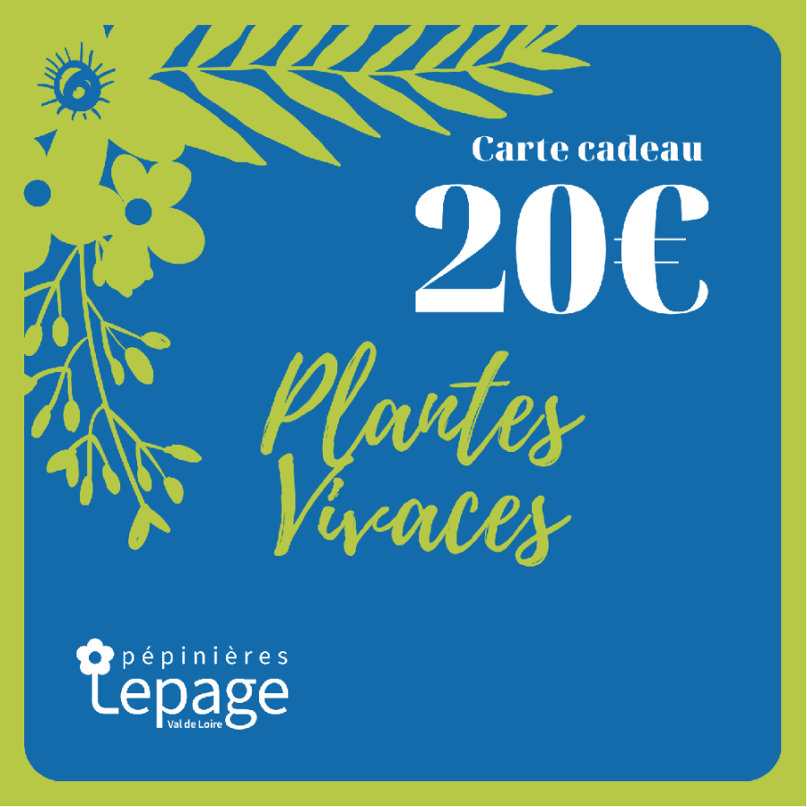 Plantes Vivaces Carte Cadeau 20 Euros - Bon d'achat  en vente - Pépinière Lepage .