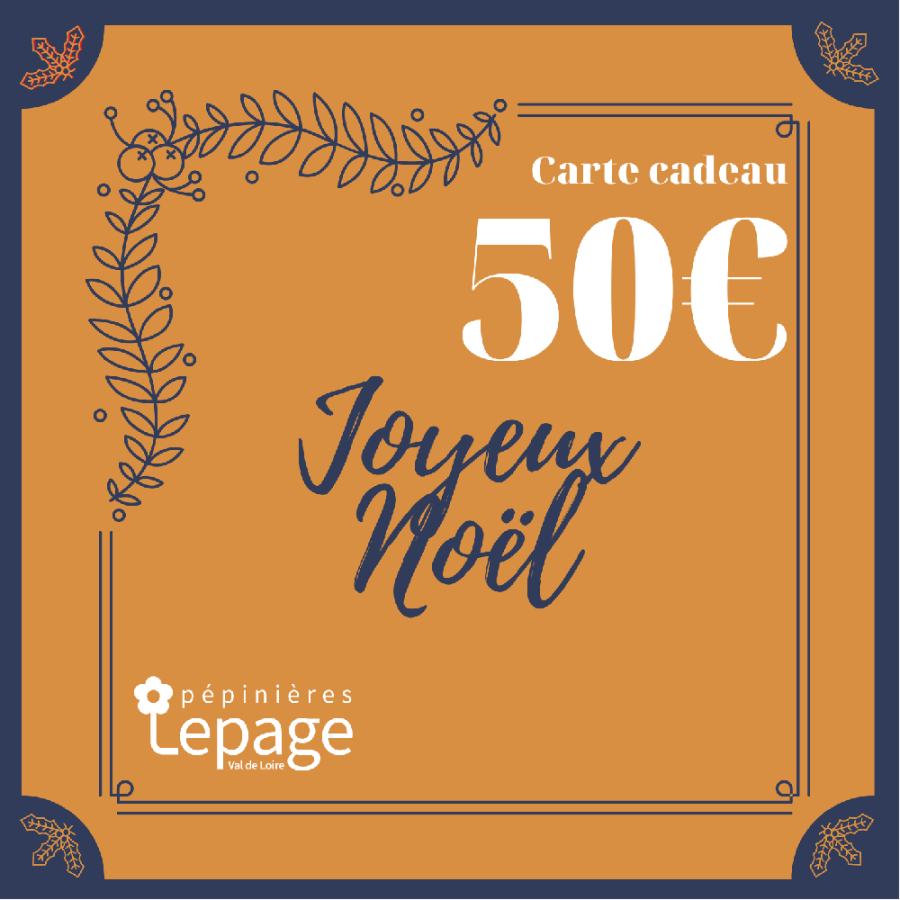 Plantes Vivaces Carte Cadeau 50 Euros - Bon d'achat  en vente - Pépinière Lepage .