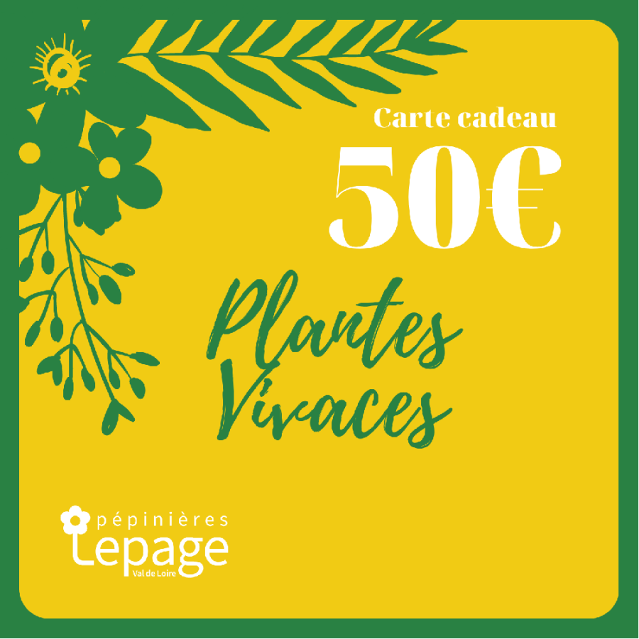 Plantes Vivaces Carte Cadeau 50 Euros - Bon d'achat  en vente - Pépinière Lepage .