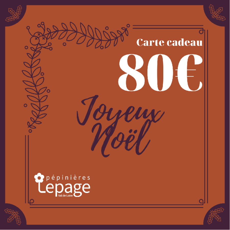 Plantes Vivaces Carte Cadeau 80 Euros - Bon d'achat  en vente - Pépinière Lepage .