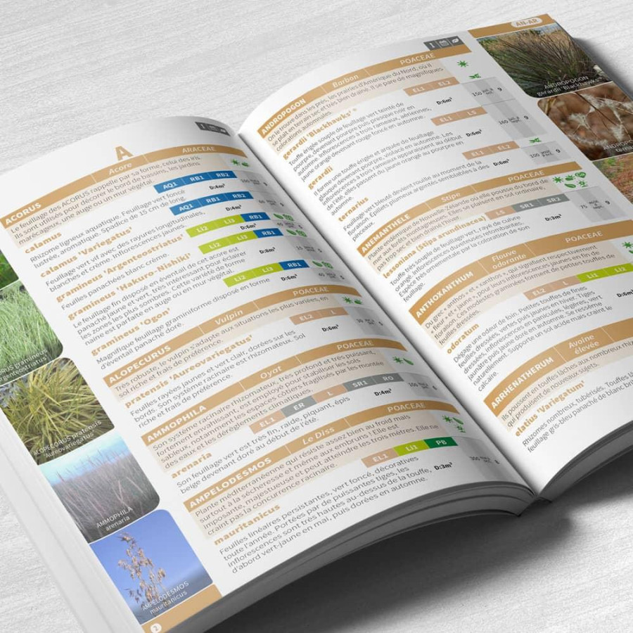 Plantes Vivaces Guide Lepage - livre en vente - Pépinière Lepage .