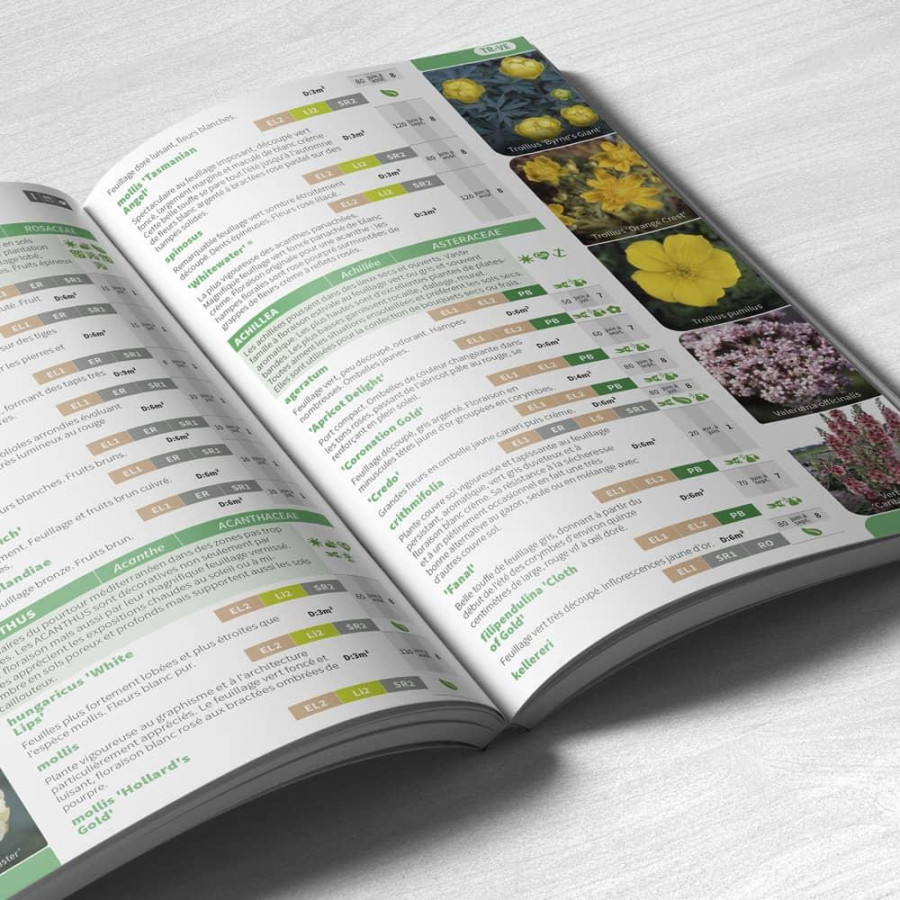 Plantes Vivaces Guide Lepage - livre en vente - Pépinière Lepage .