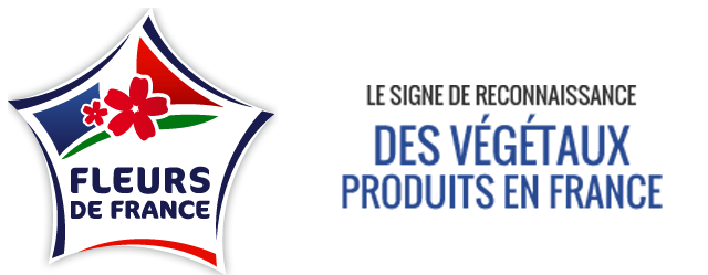 logo fleur de france mobile