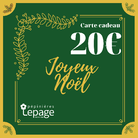 Carte Cadeau 20 Euros