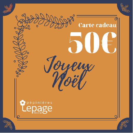 Carte Cadeau 50 Euros