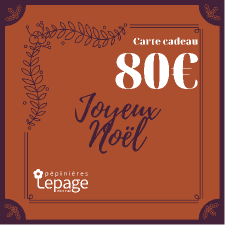 Carte Cadeau 80 Euros