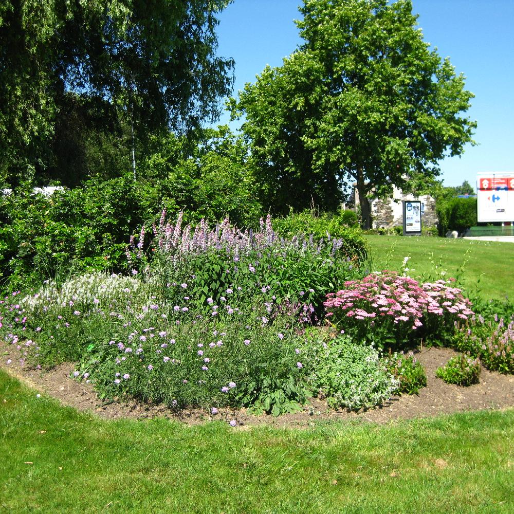 Massif Mariage Fleuri